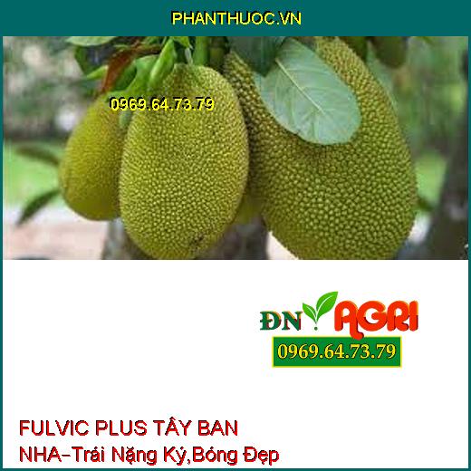 FULVIC PLUS TÂY BAN NHA –Hạn Chế Rong Rêu Trên Lá, Trái Nặng Ký, Bóng Đẹp