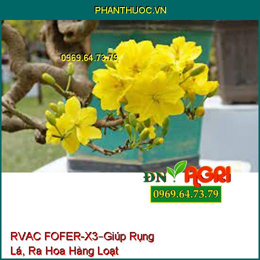 RVAC FOFER – X3 –PHÂN BÓN LÁ ĐẠM VI LƯỢNG-Giúp Cây Mai Rụng Lá, Ra Hoa Hàng Loạt