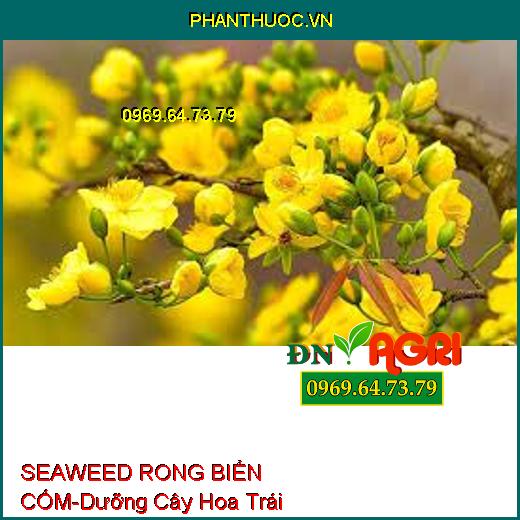 SEAWEED RONG BIỂN CỐM- Dưỡng Cây Hoa Trái, Tăng Đề Kháng Cây