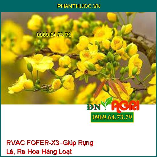 RVAC FOFER – X3 –PHÂN BÓN LÁ ĐẠM VI LƯỢNG-Giúp Cây Mai Rụng Lá, Ra Hoa Hàng Loạt