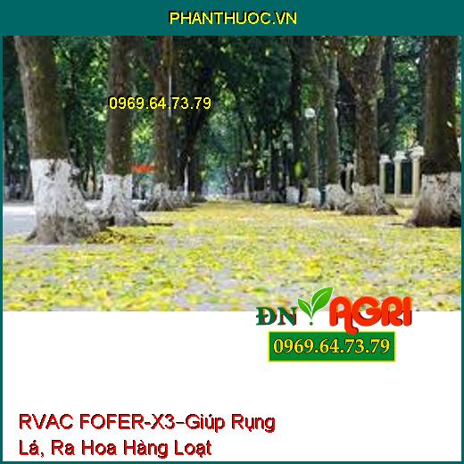 RVAC FOFER – X3 –PHÂN BÓN LÁ ĐẠM VI LƯỢNG-Giúp Cây Mai Rụng Lá, Ra Hoa Hàng Loạt