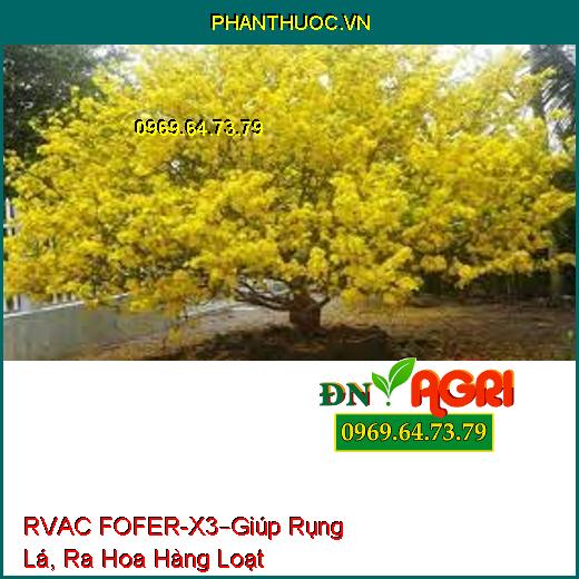 RVAC FOFER – X3 –PHÂN BÓN LÁ ĐẠM VI LƯỢNG-Giúp Cây Mai Rụng Lá, Ra Hoa Hàng Loạt