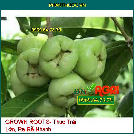 GROWN ROOTS- Thúc Trái Lớn, Ra Rễ Nhanh, Bung Đọt, Cải Tạo Đất