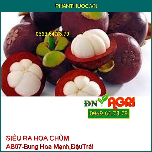 SIÊU RA HOA CHÙM AB07- Bung Hoa Cực Mạnh, Đậu Trái Tốt