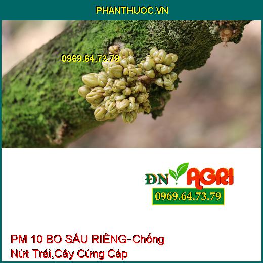 PHÂN BÓN LÁ PM 10 BO SẦU RIÊNG –Chống Nứt Trái, Cây Cứng Cáp, Hạt Chắc Khỏe