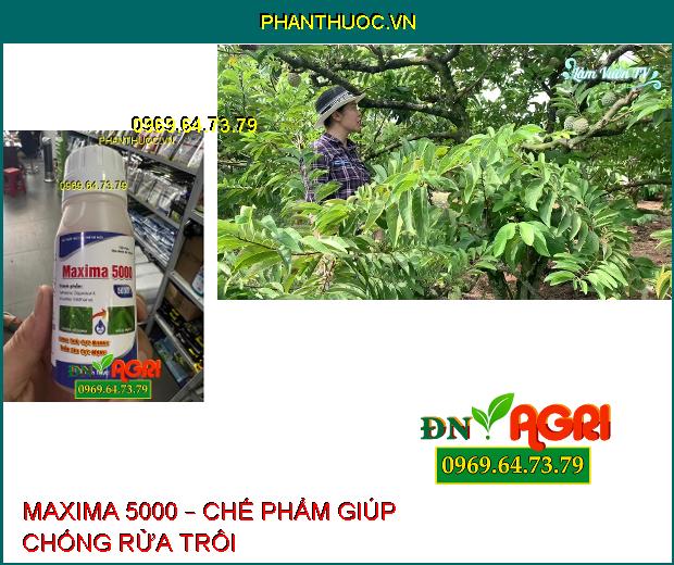 MAXIMA 5000 – CHẾ PHẨM TRỢ LỰC LOANG TRẢI CỰC NHANH THẤM SÂU CỰC MẠNH