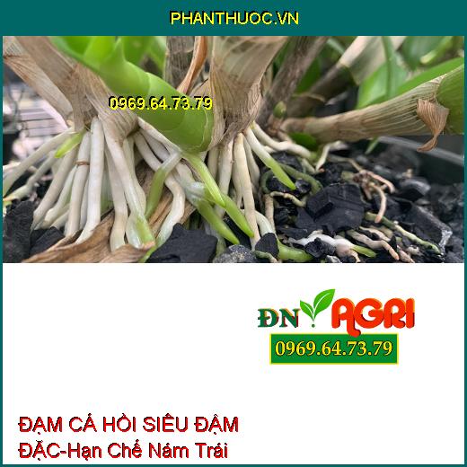 PHÂN BÓN HỮU CƠ ĐẠM CÁ HỒI SIÊU ĐẬM ĐẶC-Hạn Chế Nám Trái, Nâng Cao Năng Suất