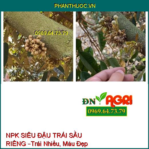 PHÂN BÓN LÁ NPK SINH HỌC SIÊU ĐẬU TRÁI SẦU RIÊNG –Trái Nhiều, Màu Đẹp