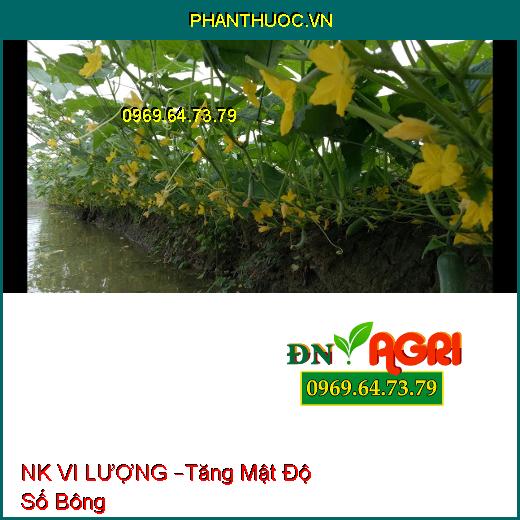 PHÂN BÓN LÁ NK VI LƯỢNG –Tăng Mật Độ Số Bông, Tránh Hiện Tượng Hoa Cách Niên