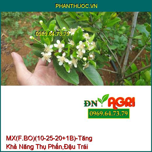 PHÂN BÓN MX(F.BO)(10-25-20+1B) –Tăng Khả Năng Thụ Phấn , Giúp Đậu Trái Nhiều