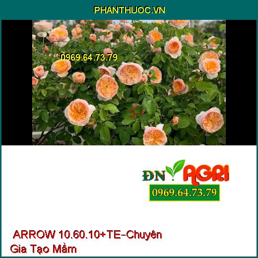 PHÂN BÓN LÁ HỖN HỢP NPK ARROW 10.60.10+TE –Chuyên Gia Tạo Mầm, Hạn Chế Sâu Bệnh