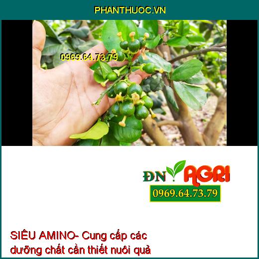 SIÊU AMINO- Kích Rễ, Cây Xanh Tốt, To, Mập, Nhiều Hoa Trái