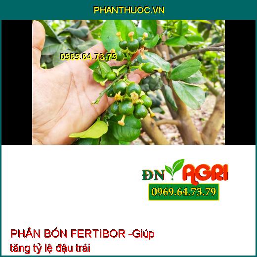 PHÂN BÓN VI LƯỢNG – FERTIBOR – RỄ MẬP – TRÁI ĐỀU – BÔNG TO