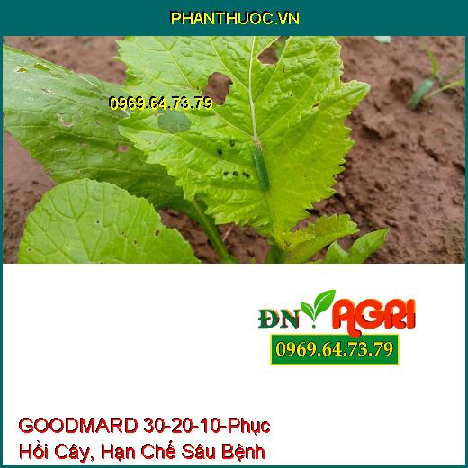 PHÂN BÓN HỖN HỢP NPK CAO CẤP GOODMARD 30-20-10-Phục Hồi Cây, Hạn Chế Sâu Bệnh