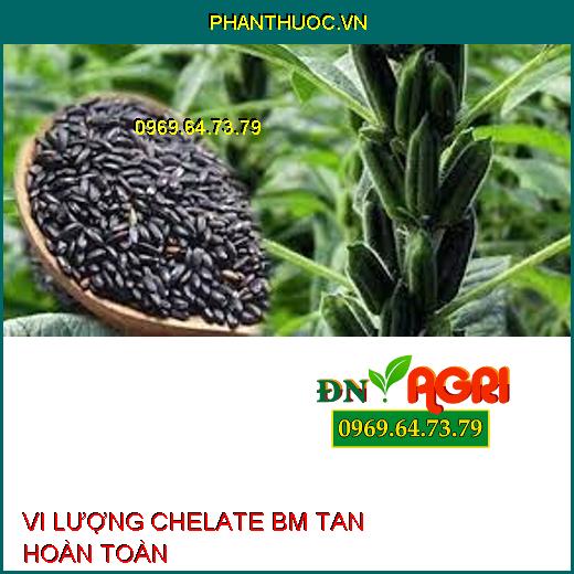 VI LƯỢNG CHELATE BM TAN HOÀN TOÀN-Phục Hồi Cây, Giảm Rụng Lá, Rụng Trái Non