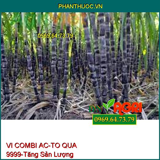 PHÂN BÓN VI COMBI AC-TO QUA 9999 –Tăng Sản Lượng, Bổ Sung Kẽm Và Manga