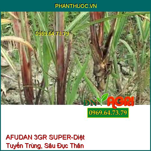 AFUDAN 3GR SUPER-Diệt Tuyến Trùng, Sâu Đục Thân