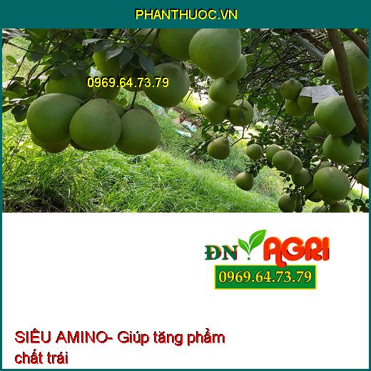 SIÊU AMINO- Kích Rễ, Cây Xanh Tốt, To, Mập, Nhiều Hoa Trái