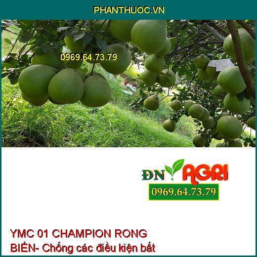 YMC 01 CHAMPION RONG BIỂN- Mát Cây, Dưỡng Hoa, Tăng Năng Suất