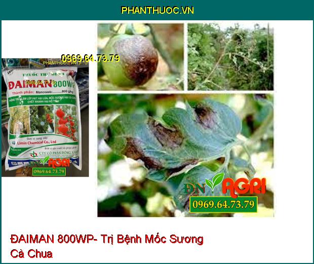 THUỐC TRỪ BỆNH ĐAIMAN 800WP- Trị Lem Lép Hại Lúa, Mốc Sương Hại Cà Chua, Chết Nhanh Hại Hồ Tiêu