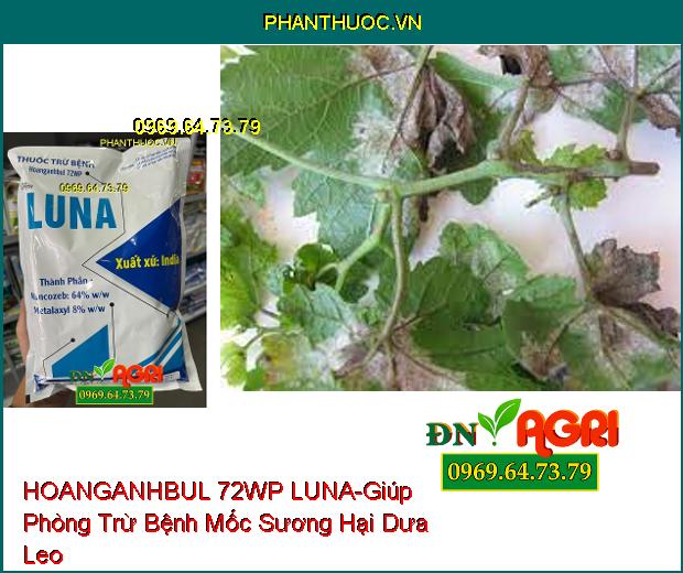 THUỐC TRỪ BỆNH HOANGANHBUL 72WP LUNA - Giúp Phòng Trừ Bệnh Phấn Trắng, Thán Thư, Sương Mai