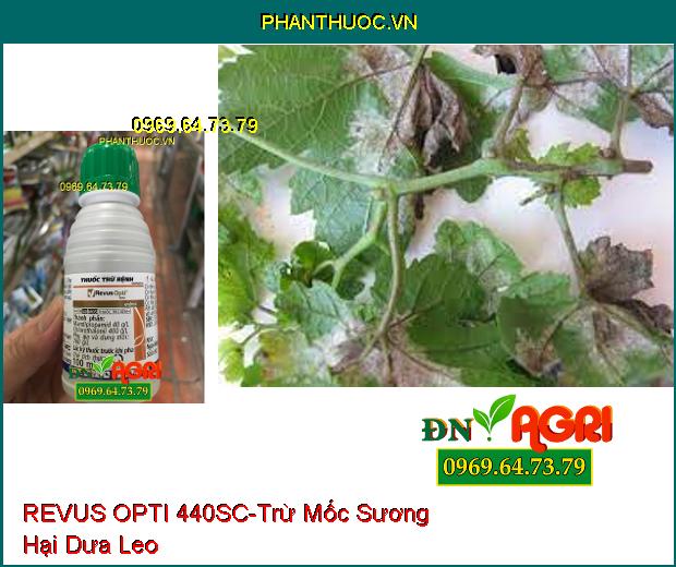 THUỐC TRỪ BỆNH REVUS OPTI 440SC – Trừ Nấm Bệnh, Bệnh Thán Thư , Mốc Sương