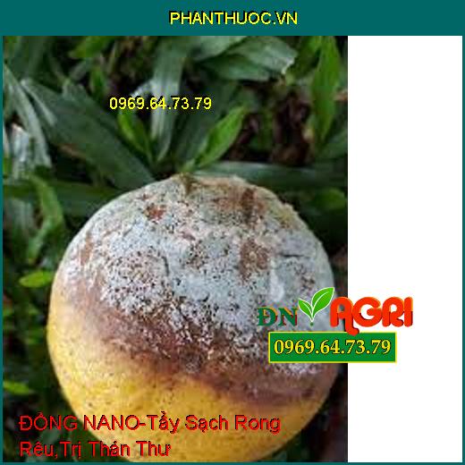 DUNG DỊCH ĐỒNG MAGIE ĐỒNG NANO-Tẩy Sạch Rong Rêu, Trị Thổi Ròng,Thán Thư