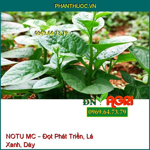 PHÂN BÓN HỖN HỢP NPK BỔ SUNG VI LƯỢNG NOTU MC – Đọt Phát Triển, Lá Xanh, Dày