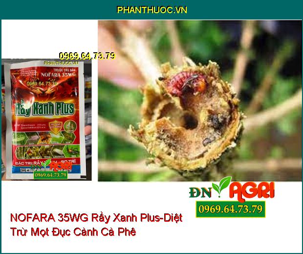 THUỐC TRỪ SÂU NOFARA 35WG Rầy Xanh Plus- Diệt Côn Trùng, Bọ Trĩ Trên Lúa