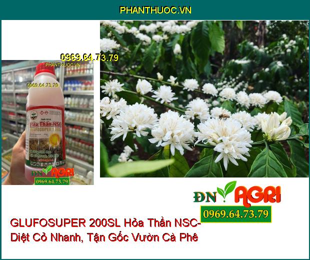 GLUFOSUPER 200SL Hỏa Thần NSC- Cỏ Cháy Sinh Học Diệt Cỏ Nhanh, Tận Gốc