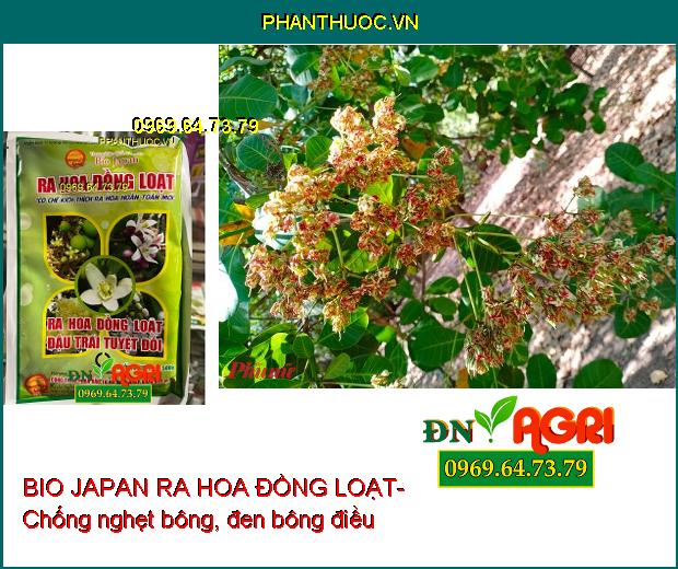 BIO JAPAN RA HOA ĐỒNG LOẠT- Kích Ra Hoa Đồng Loạt, Đậu Trái Cao