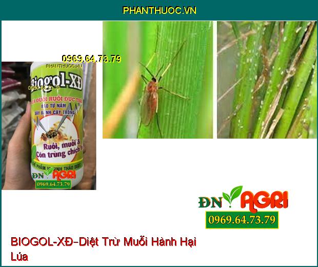 CHẾ PHẨM VI SINH THẢO DƯỢC BIOGOL – XĐ –Xua Đổi Ruồi Đục Trái , Côn Trùng