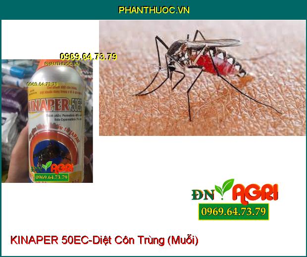 CHẾ PHẨM DIỆT CÔN TRÙNG KINAPER 50EC-Tẩm Rèm, Phun Diệt Côn Trùng Trong Nhà