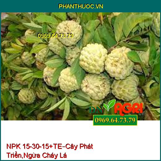 PHÂN BÓN LÁ NPK 15-30-15 +TE –Giúp Cây Phát Triển, Ngăn Ngừa Cháy Lá 