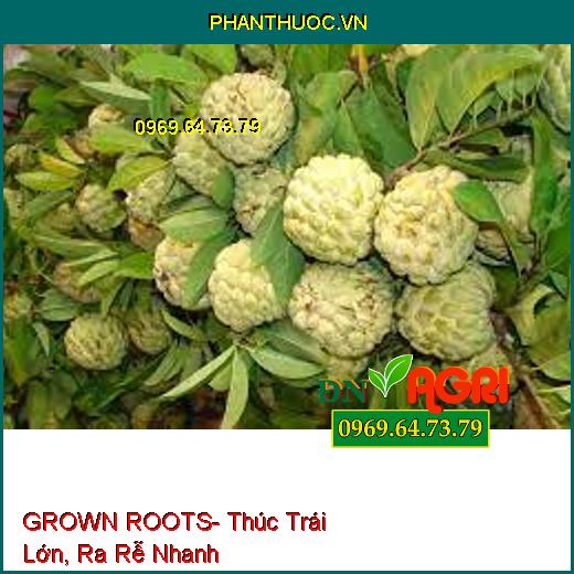 GROWN ROOTS- Thúc Trái Lớn, Ra Rễ Nhanh, Bung Đọt, Cải Tạo Đất