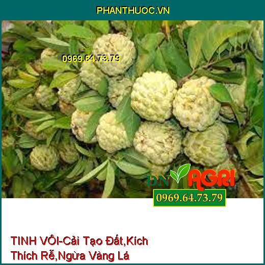 TINH VÔI-Nâng Cao PH Đất, Cải Tạo Đất, Kích Thích Rễ, Ngăn Ngừa Vàng Lá