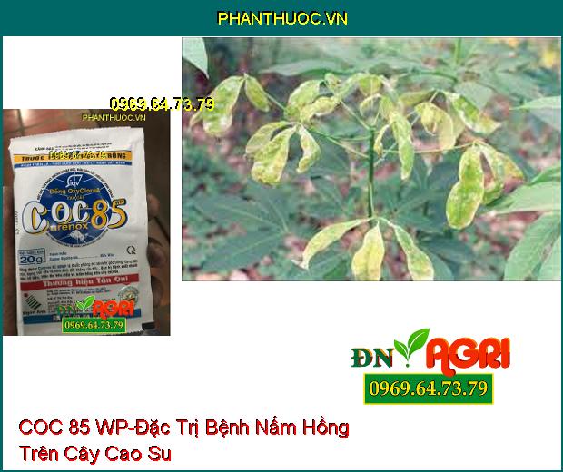 THUỐC TRỪ BỆNH COC 85 WP-Đặc Trị Bệnh Chết Nhanh, Bệnh Gốc Đồng