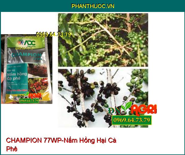 THUỐC TRỪ BỆNH CHAMPION 77WP – Phòng Trừ Các Loại Nấm, Vi Khuẩn Hại Cây