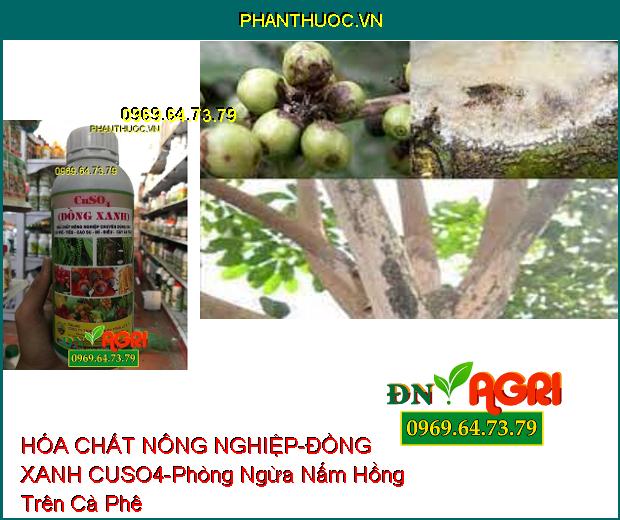 HÓA CHẤT NÔNG NGHIỆP – ĐỒNG XANH CUSO4-Cung Cấp Vi Lượng, Phòng Ngừa Bệnh Nấm