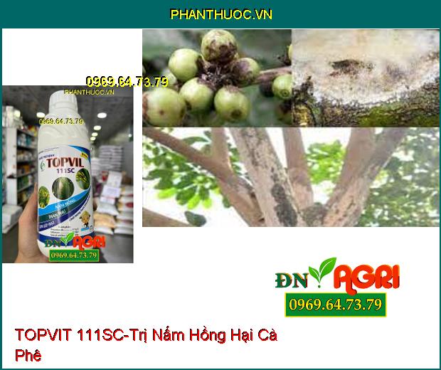 THUỐC TRỪ BỆNH TOPVIT 111SC- Chuyên Trị Nấm Hồng, Thán Thư, Lem Lép Hạt