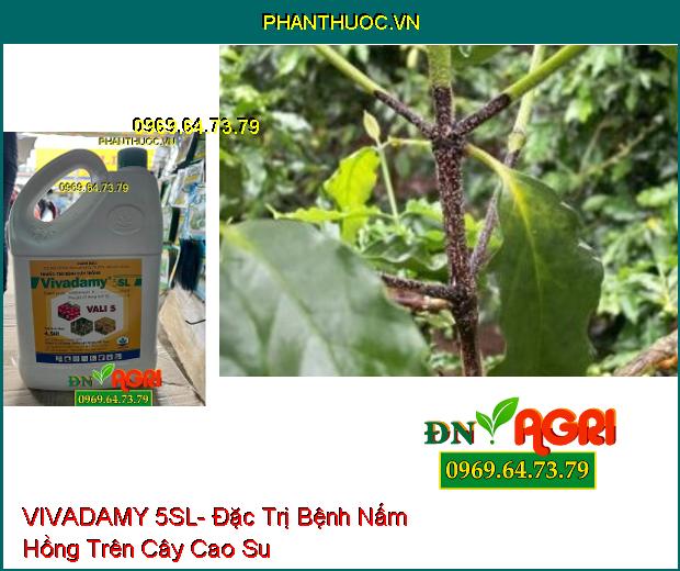 VIVADAMY 5SL- Đặc Trị Khô Vằn, Nấm Hồng Trên Cây Cao Su, Cà Phê