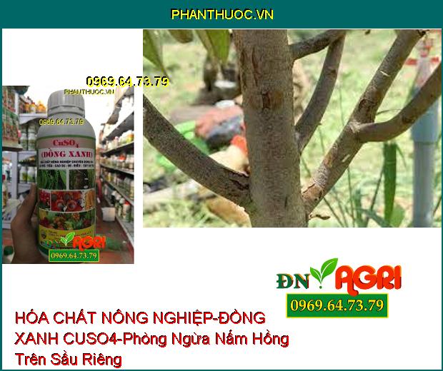 HÓA CHẤT NÔNG NGHIỆP – ĐỒNG XANH CUSO4-Cung Cấp Vi Lượng, Phòng Ngừa Bệnh Nấm