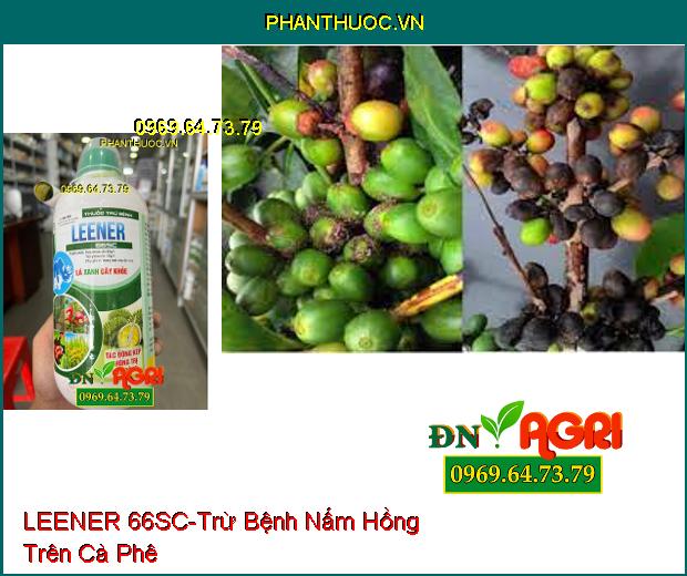 THUỐC TRỪ BỆNH LEENER 66SC – Trừ Bệnh Khô Vằn, Lem Lép, Rỉ Sắt, Đốm Vòng, Phấn Trắng