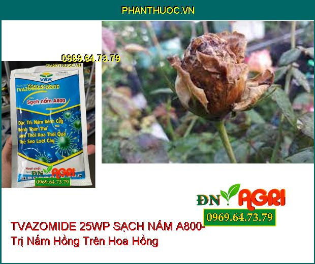 TVAZOMIDE 25WP SẠCH NẤM A800- Trị Ghẻ Sẹo Loét Cây, Sạch Thán Thư, Thối Hoa