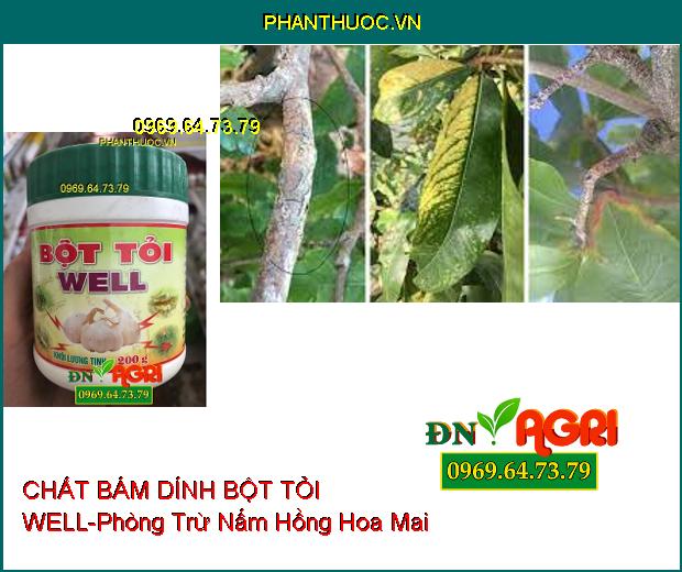 CHẤT BÁM DÍNH BỘT TỎI WELL –Phòng Ngừa Dịch Bệnh, Vệ Sinh Chuồng Trại