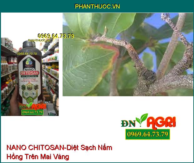 NANO CHITOSAN –Quét Sạch Thán Thư, Nấm Hồng, Các Loại Nấm Bệnh