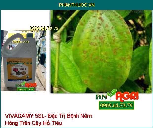 VIVADAMY 5SL- Đặc Trị Khô Vằn, Nấm Hồng Trên Cây Cao Su, Cà Phê