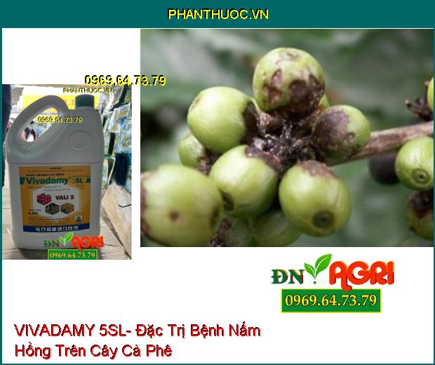 VIVADAMY 5SL- Đặc Trị Khô Vằn, Nấm Hồng Trên Cây Cao Su, Cà Phê