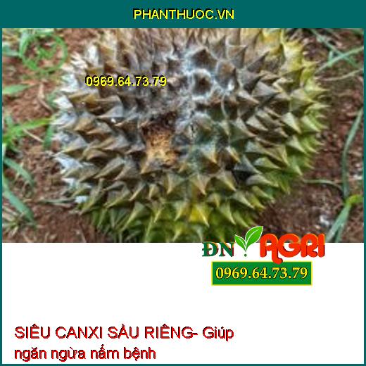 SIÊU CANXI SẦU RIÊNG- Chống Thối Trái, Xì Mủ, Chảy Nhựa, Đen Đít