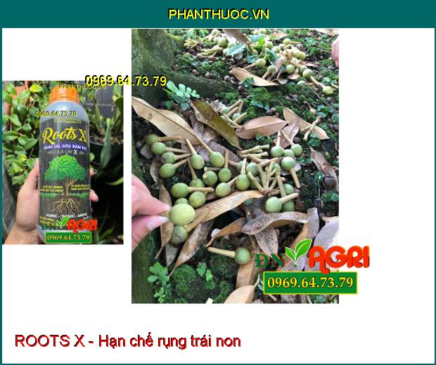 ROOTS X: Bổ Sung Humic- Fulvic- Amino- Siêu Ra Rễ, Nuôi Trái, Lớn Trái